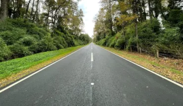 gray asphalt road between green trees during daytime
