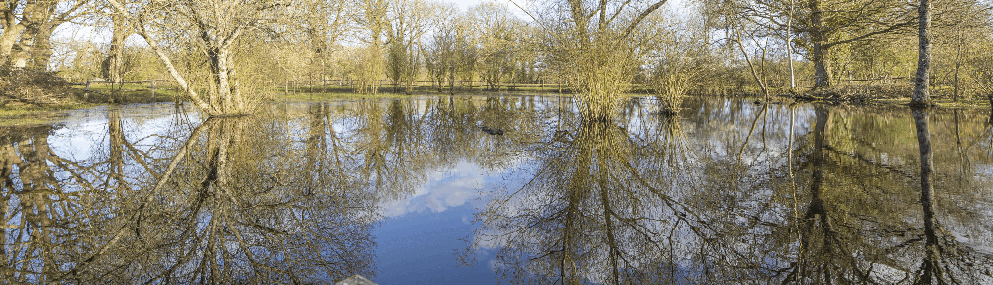 Réserve Naturelle Régionale Bocage Humide des Cailleries - Saint-Colomban -